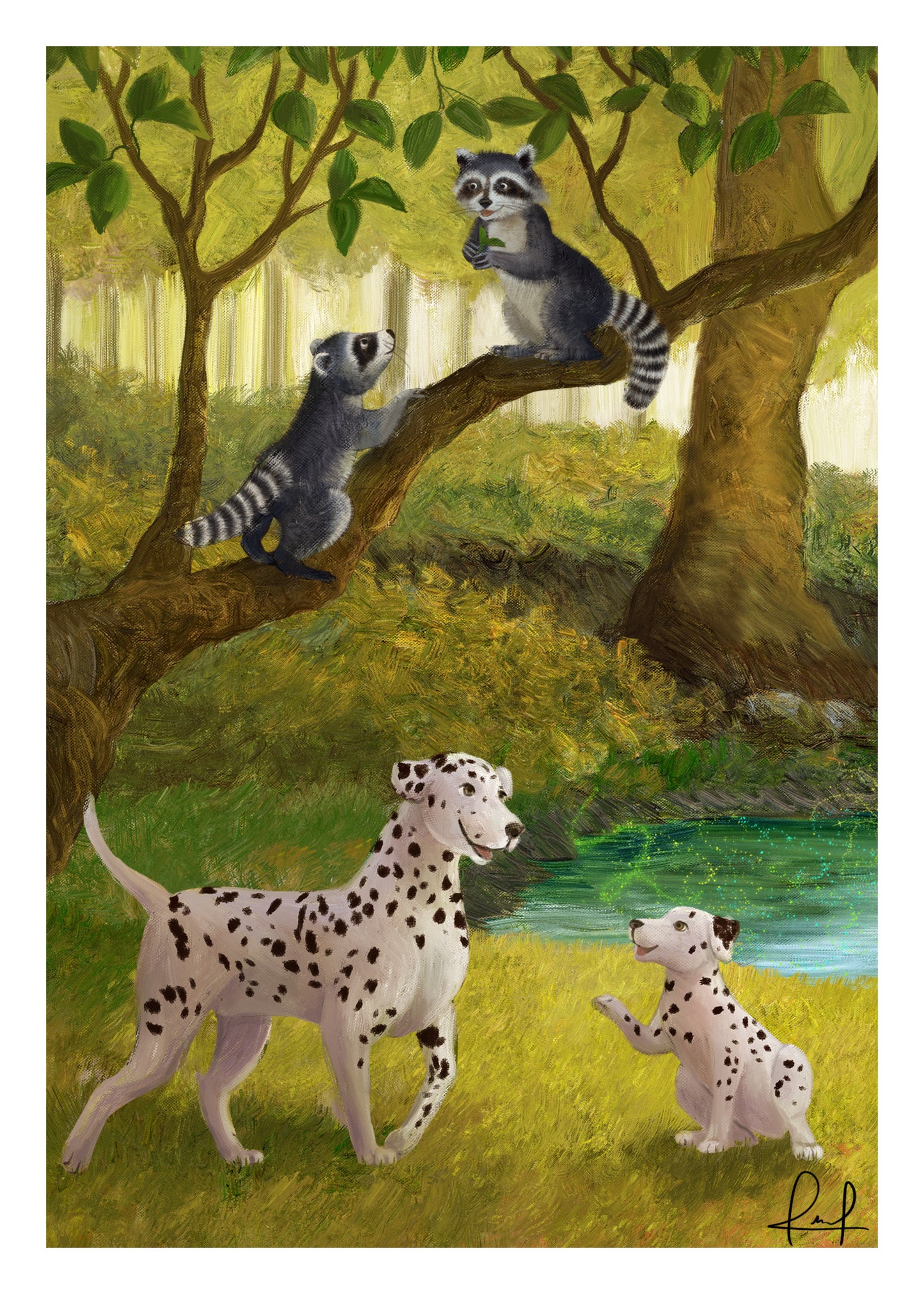 Raccoons & Spots