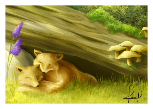 Little Foxes’ Nap