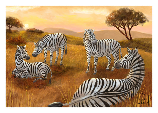 Happy Zebras