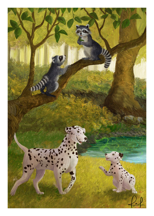Raccoons & Spots